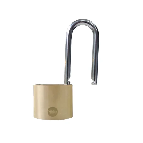 IMG_1535018920705346207